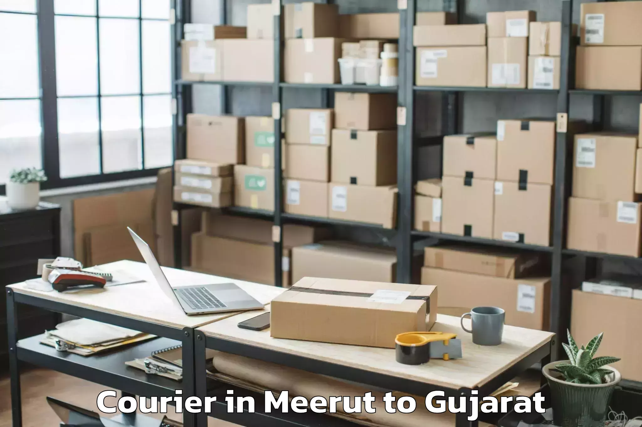 Reliable Meerut to Vapi Courier